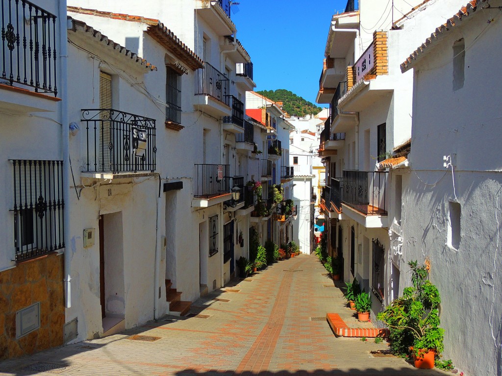 Foto: Calle la Fuente - Ojen (Málaga), España