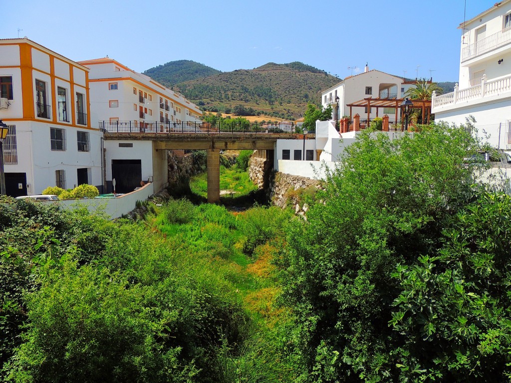 Foto: Cauce Río de los Caballos - Tolox (Málaga), España