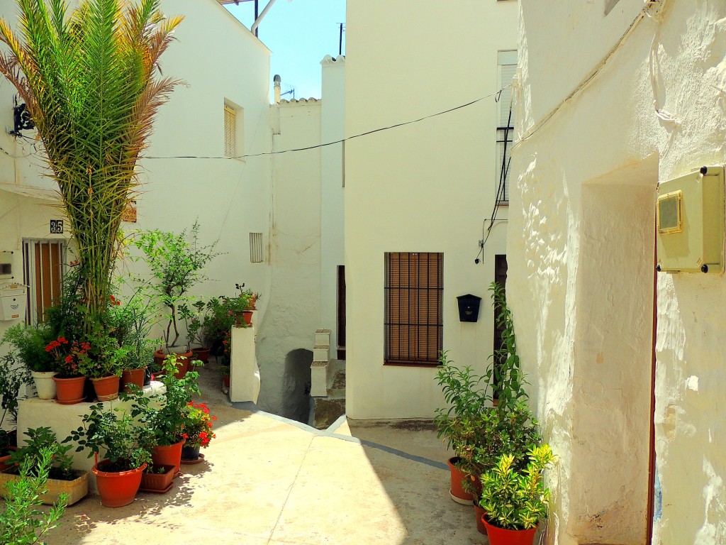 Foto: El Arquito - Tolox (Málaga), España
