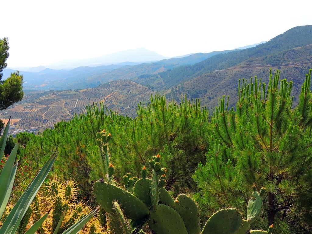 Foto de Tolox (Málaga), España