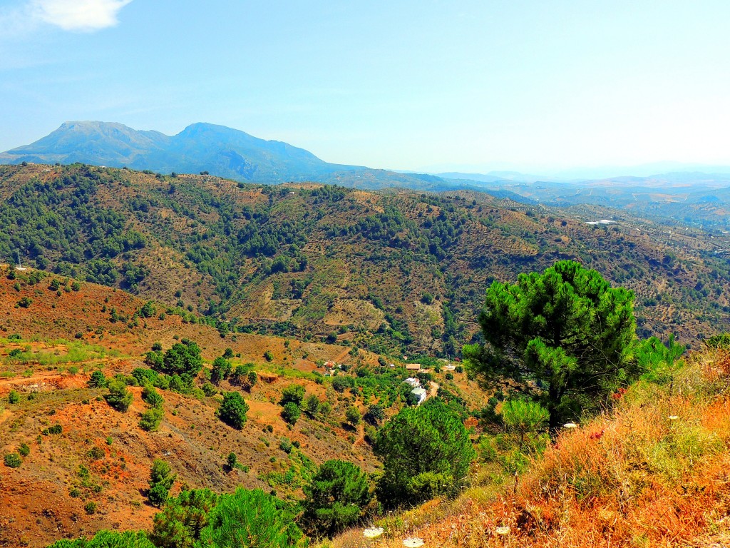Foto de Tolox (Málaga), España