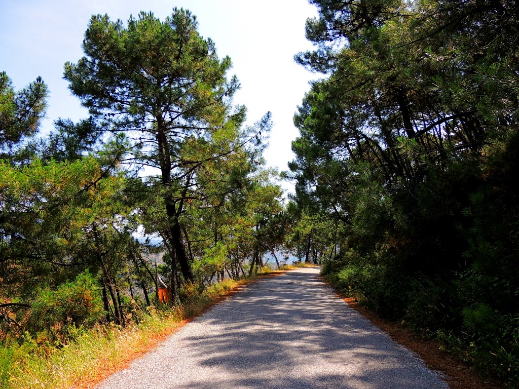 Foto: Carretera del Hotal - Tolox (Málaga), España
