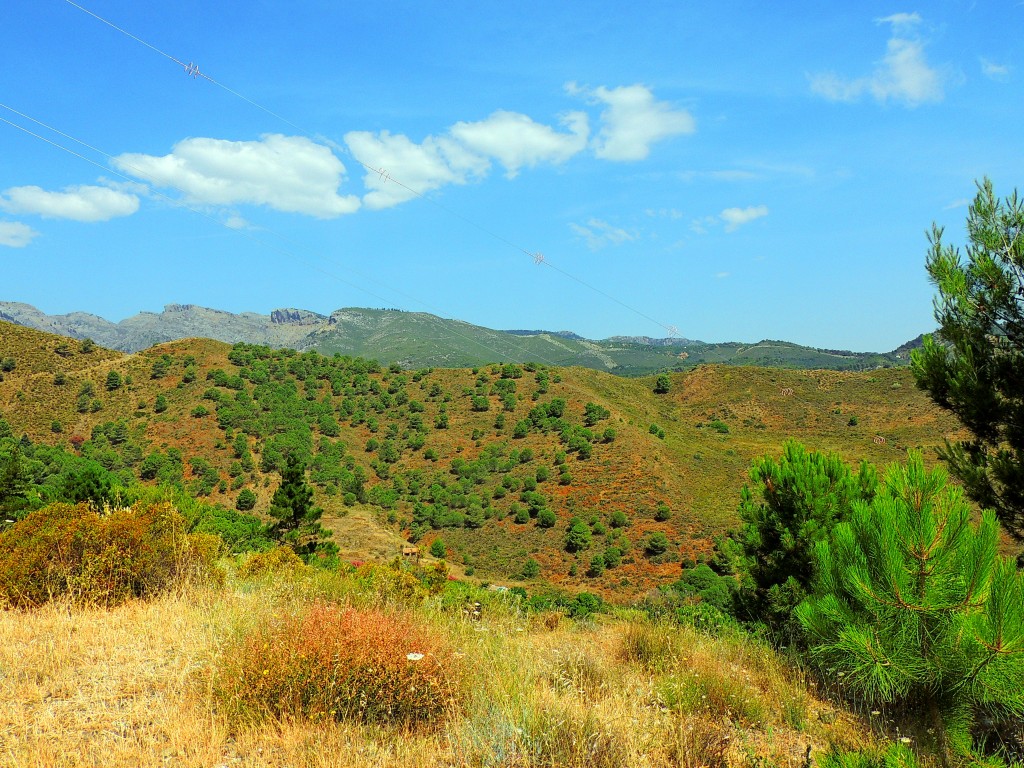 Foto de Tolox (Málaga), España