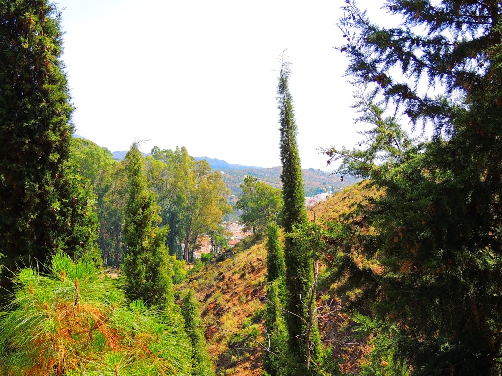 Foto de Tolox (Málaga), España