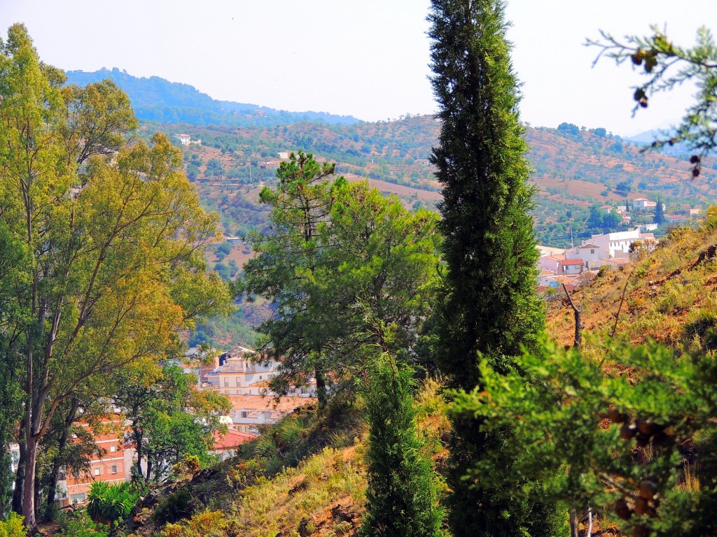 Foto de Tolox (Málaga), España