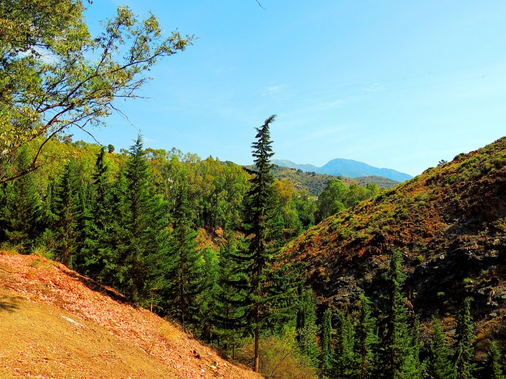 Foto de Tolox (Málaga), España