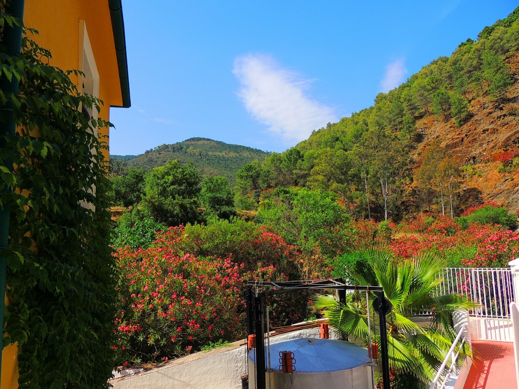 Foto: Balneario Fuente Amargosa - Tolox (Málaga), España
