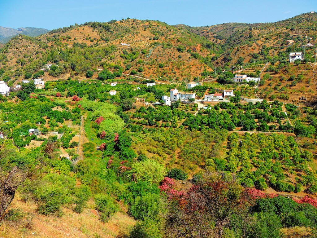 Foto: Las Huertas - Tolox (Málaga), España