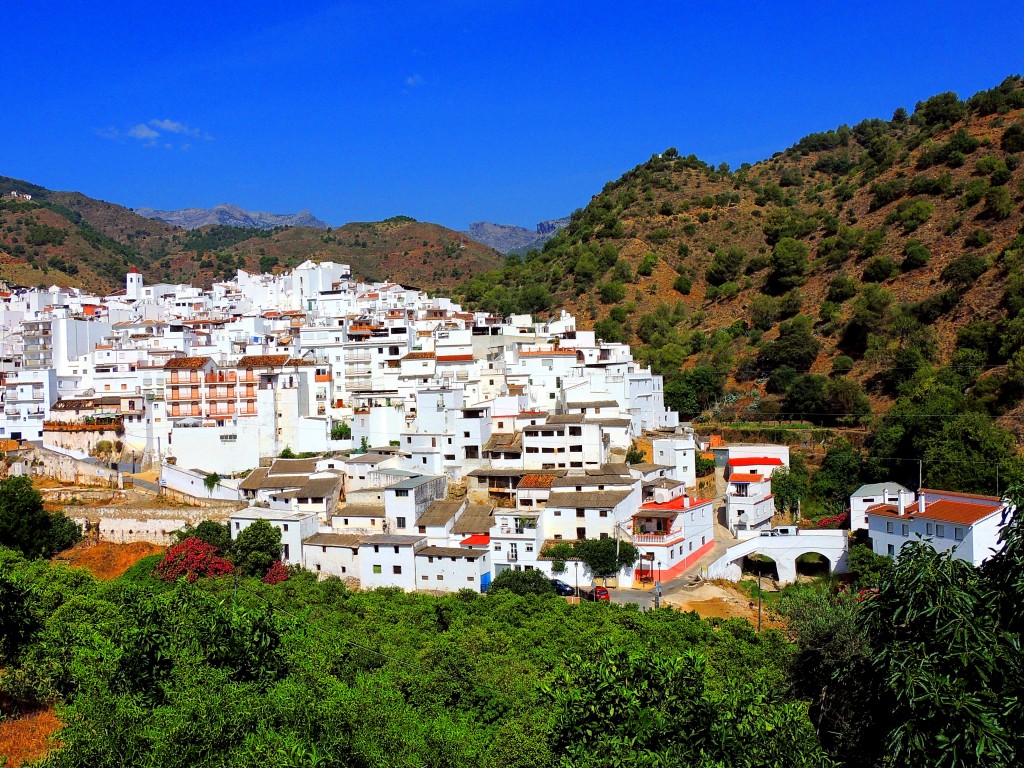 Foto: Postal - Tolox (Málaga), España