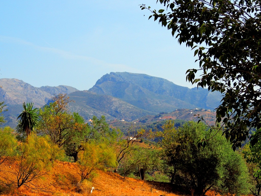Foto de Tolox (Málaga), España
