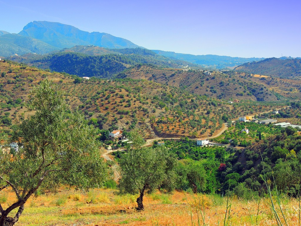 Foto: Entorno de Tolox - Tolox (Málaga), España