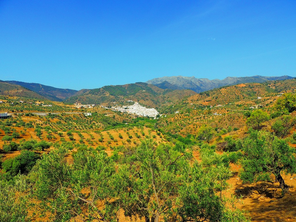 Foto: Campos de Tolox - Tolox (Málaga), España