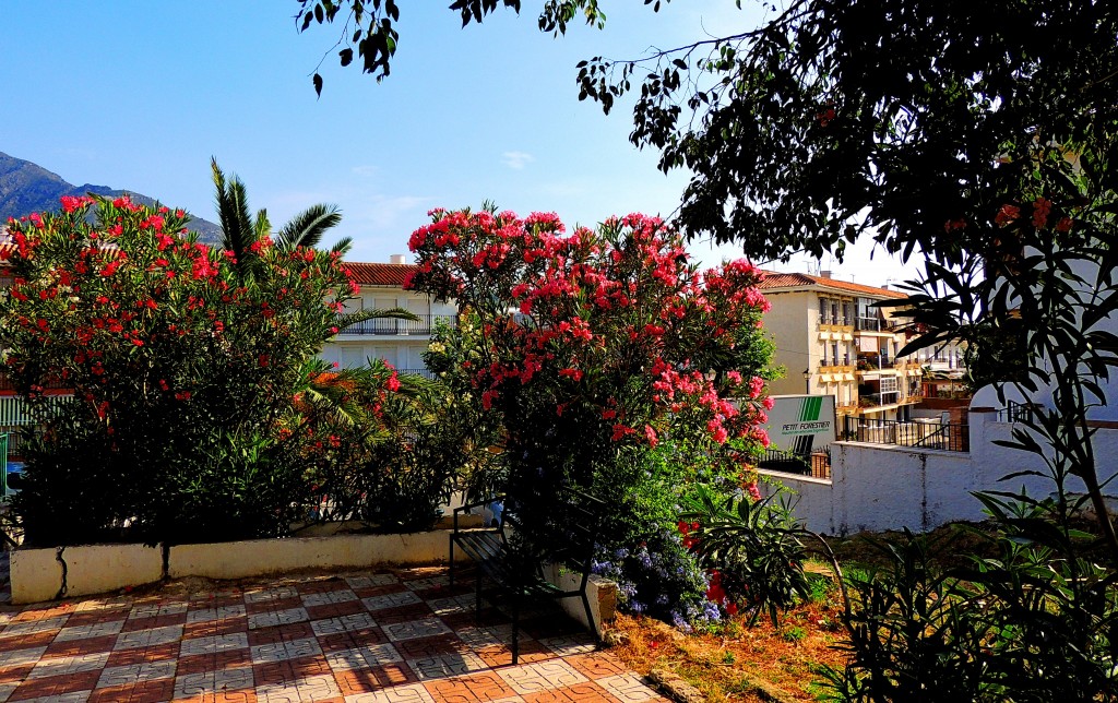 Foto: Detalles - Alozaina (Málaga), España