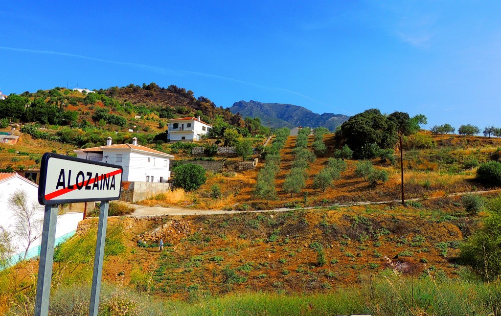 Foto: Salida de Alozaina - Alozaina (Málaga), España