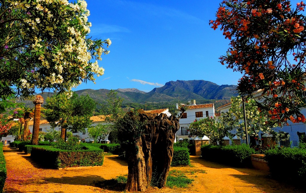Foto: Jardines Avdª Andalucía - Alozaina (Málaga), España