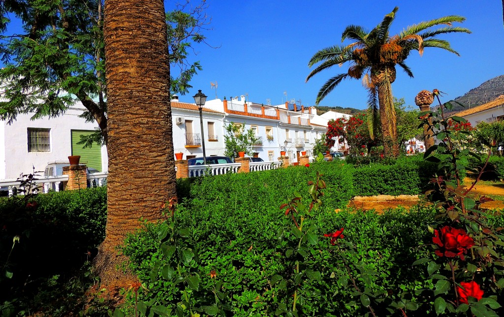 Foto: Jardines Avdª Andalucía - Alozaina (Málaga), España