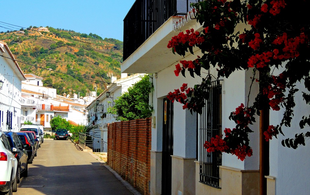 Foto: Calle Antonio Machado - Alozaina (Málaga), España