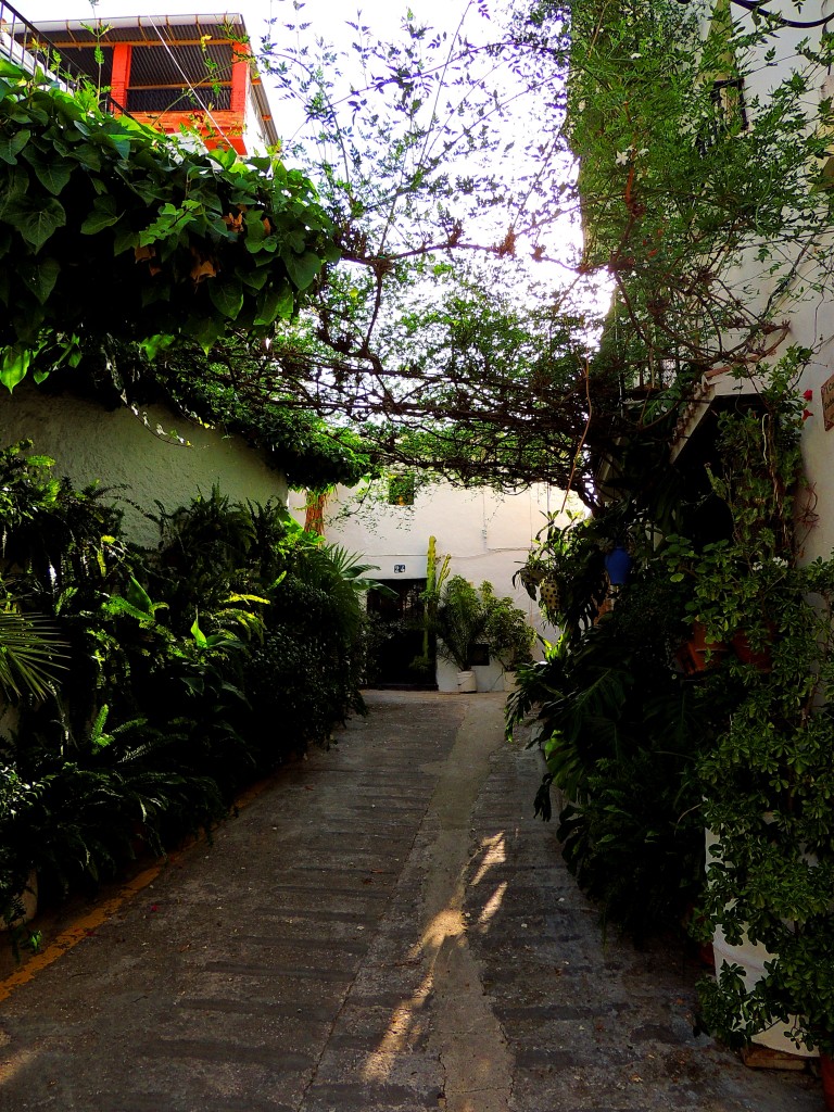 Foto: Rincones - Alozaina (Málaga), España