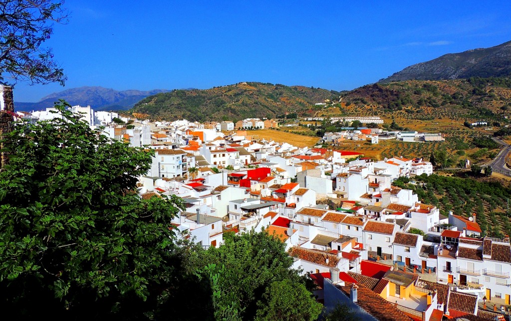 Foto: Panorámica - Alozaina (Málaga), España