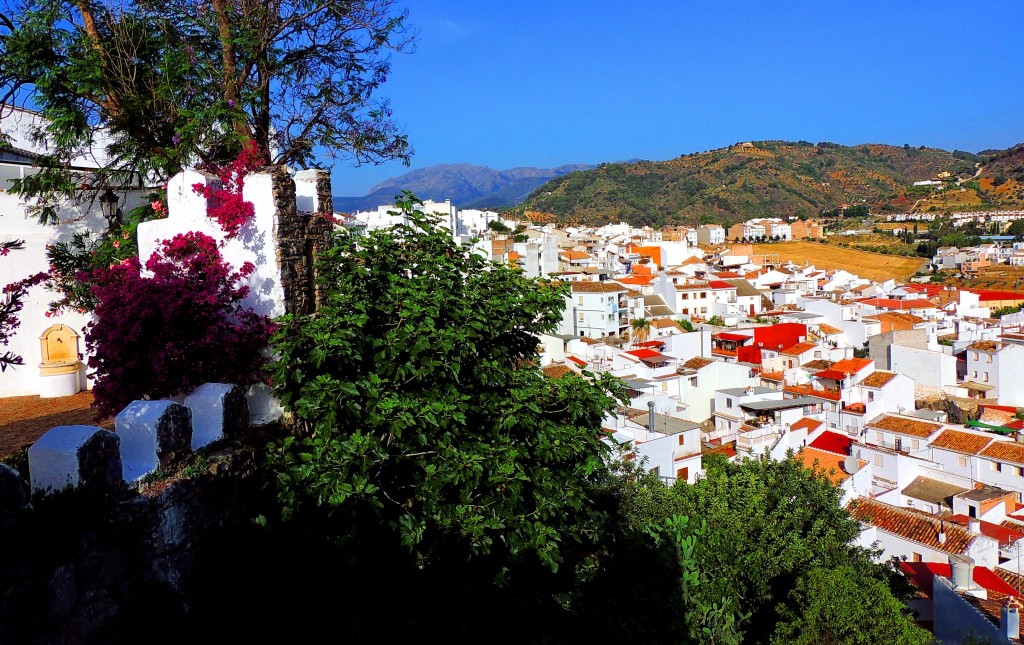 Foto: Panorámica - Alozaina (Málaga), España