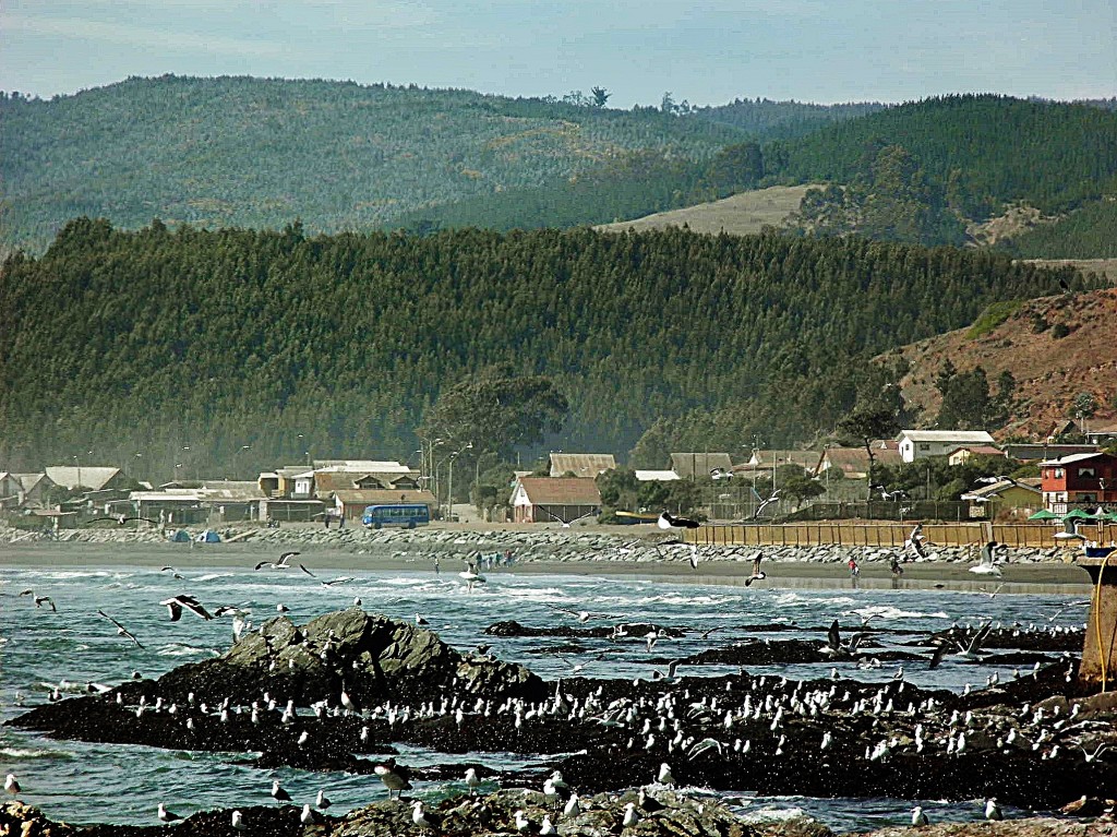 Foto: Paisaje costero - Iloca-Duao (Maule), Chile
