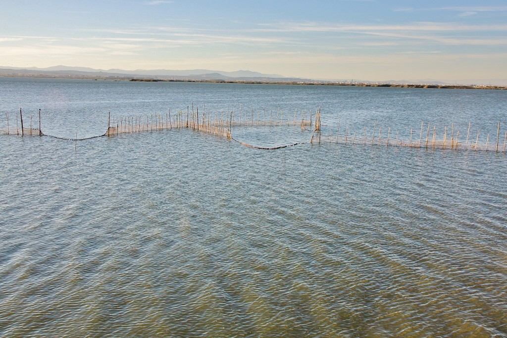 Foto: Albufera - València (Comunidad Valenciana), España