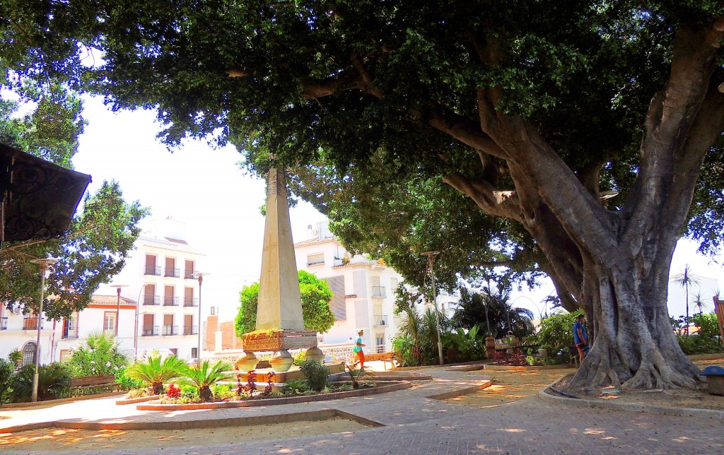 Foto de Parque San Agustin en Coín, Málaga