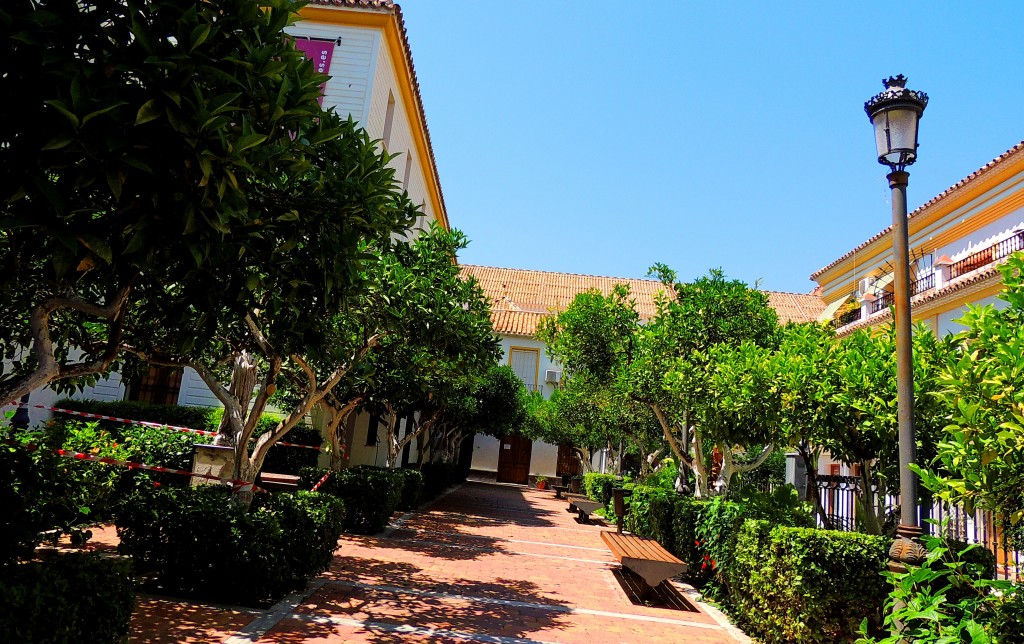 Foto: Jardines de la Iglesia - Coín (Málaga), España
