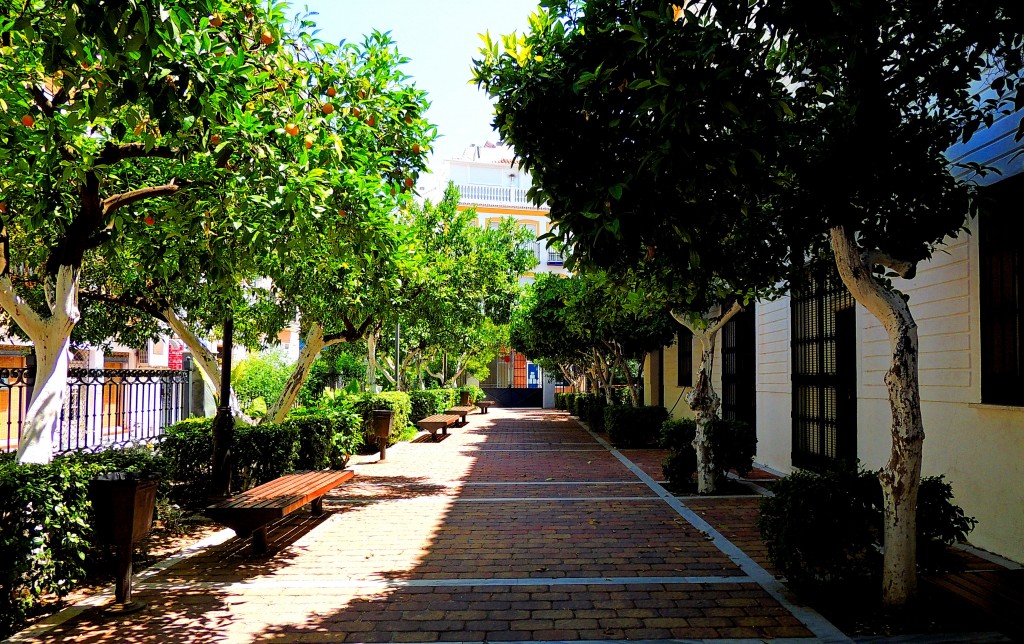 Foto: Jardines de la Iglesia - Coín (Málaga), España