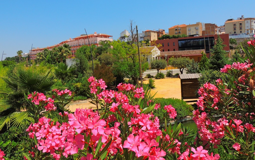 Foto: Jardines Avdª Rey Juan Carlos - Coín (Málaga), España