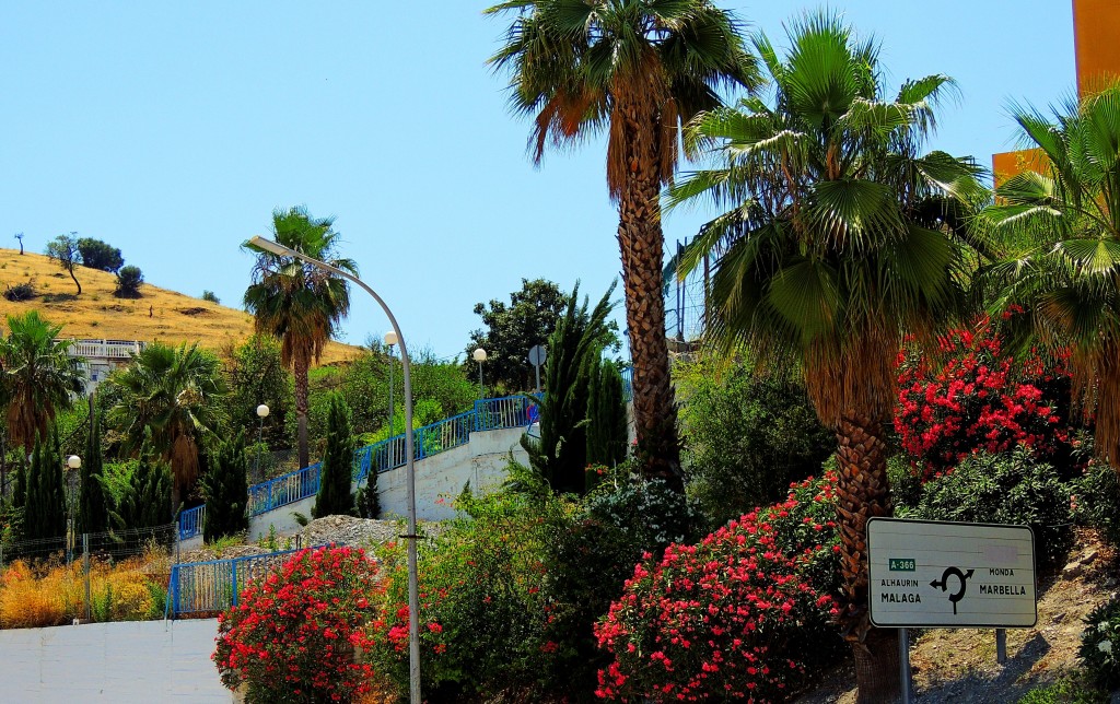 Foto: Jardines Avdª Rey Juan Carlos - Coín (Málaga), España