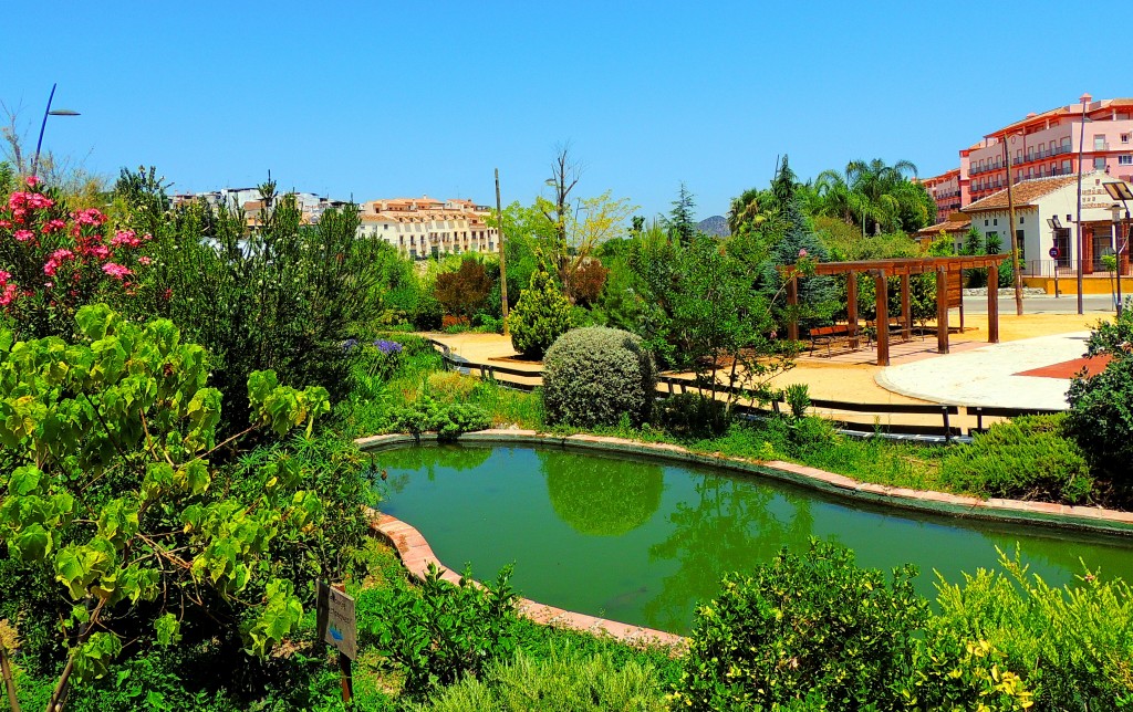 Foto: Jardines Avdª Rey Juan Carlos - Coín (Málaga), España
