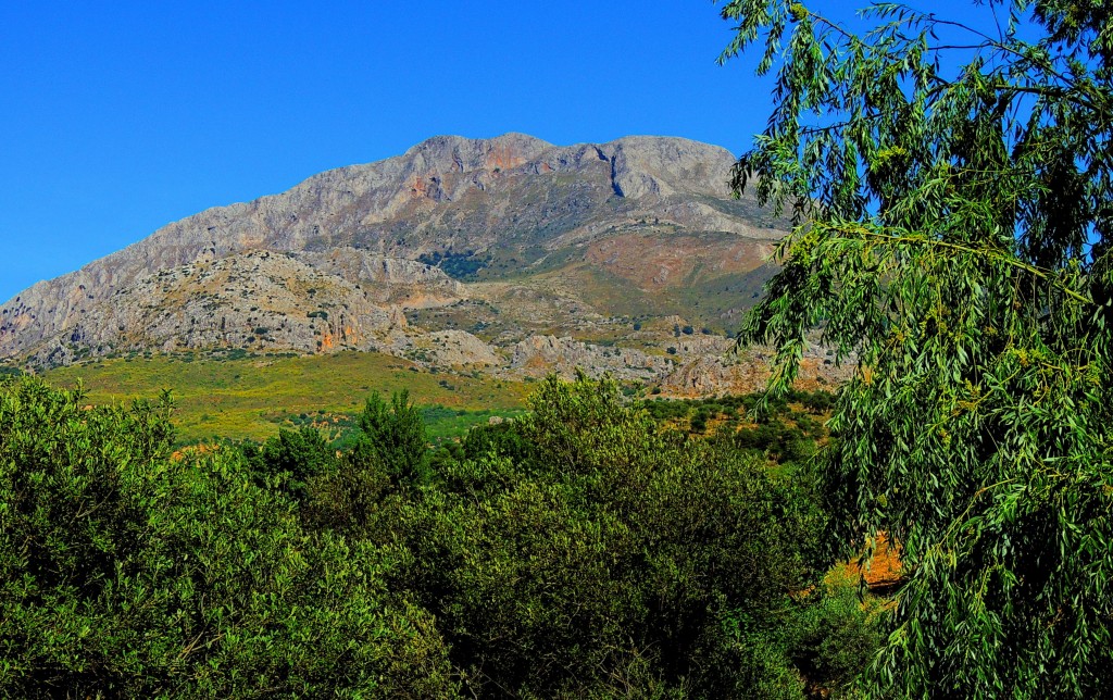 Foto: Sierra Cabrilla - El Burgo (Málaga), España