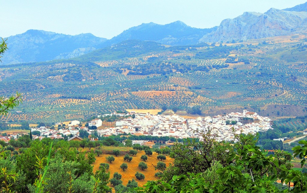 Foto de El Burgo (Málaga), España