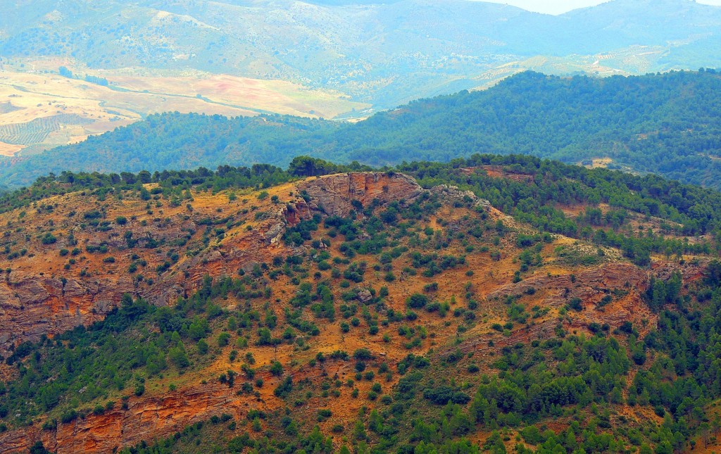 Foto: Cerro de las Monjas - El Burgo (Málaga), España
