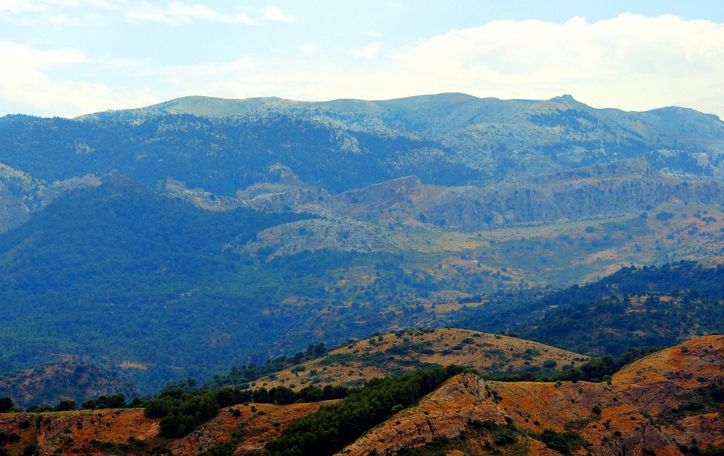 Foto: Pilones - El Burgo (Málaga), España