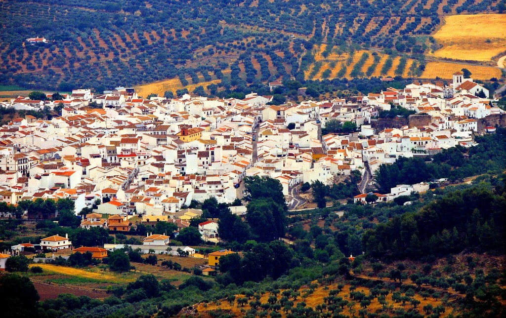 Foto de El Burgo (Málaga), España