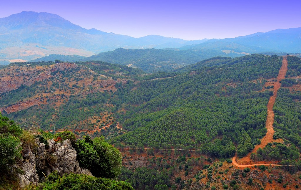 Foto: Serranía de Ronda - El Burgo (Málaga), España
