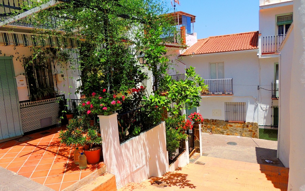 Foto: Rincones - Guaro (Málaga), España