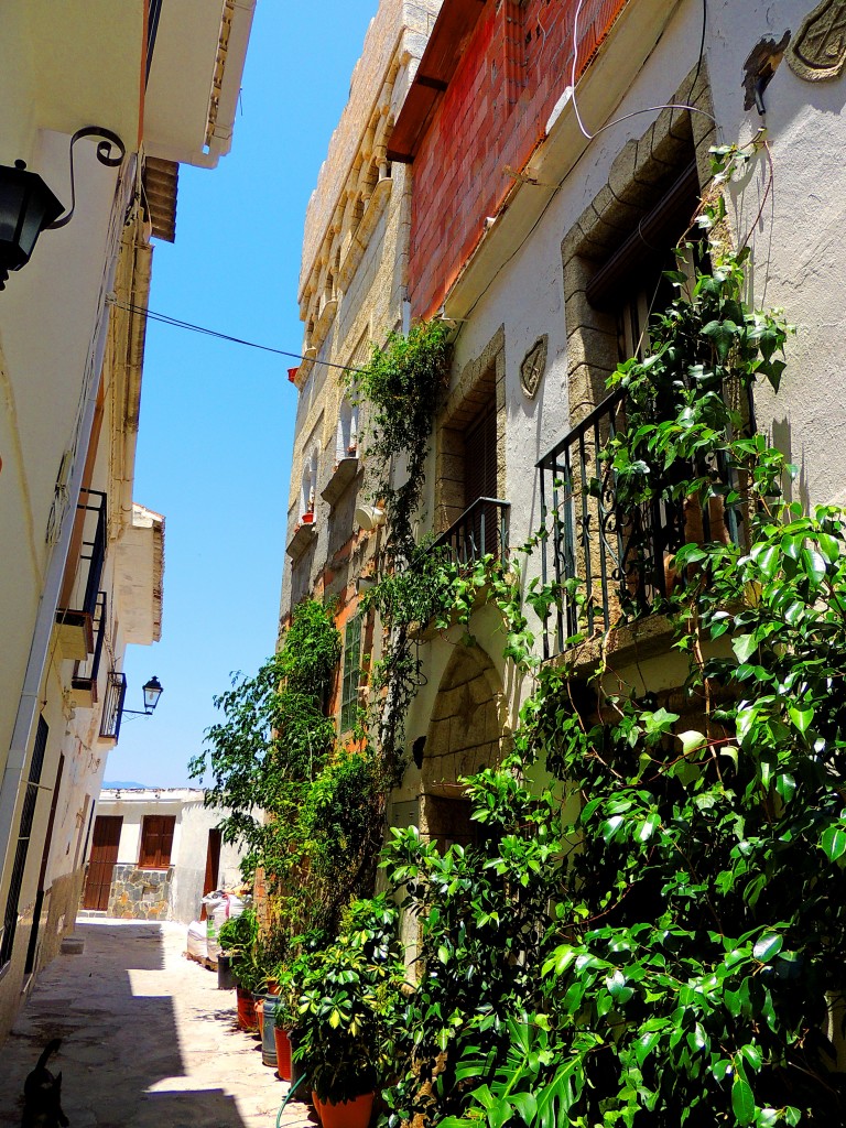 Foto: Rincones - Guaro (Málaga), España