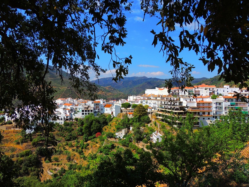 Foto: Enmarcado - Istán (Málaga), España