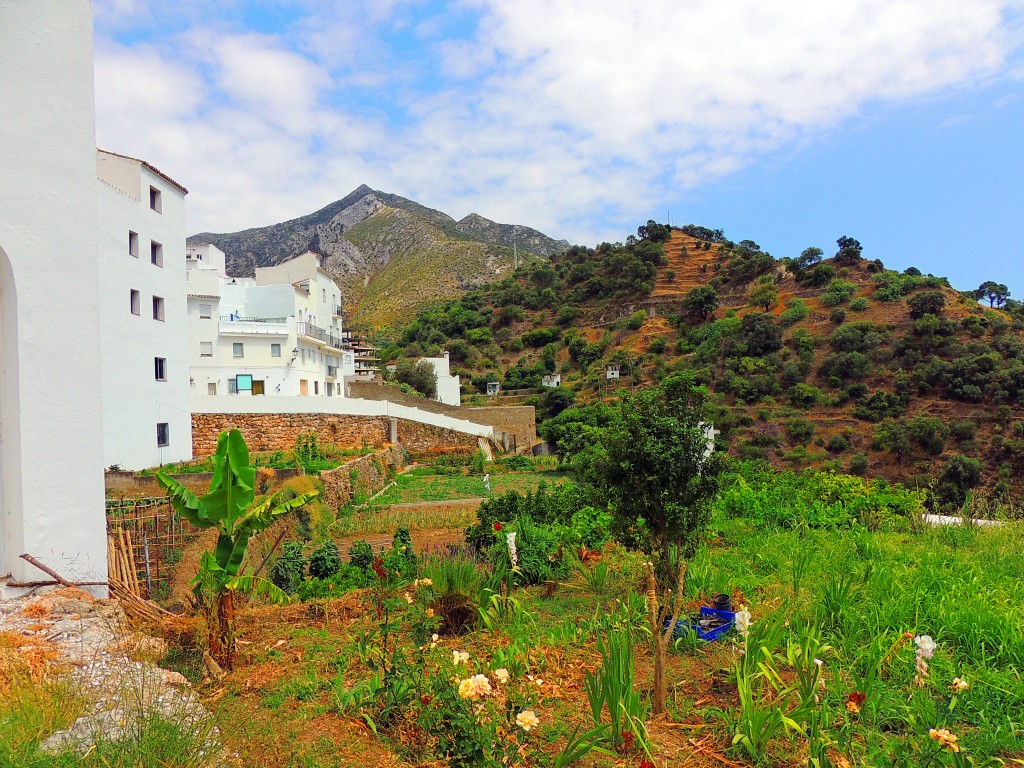 Foto de Istán (Málaga), España