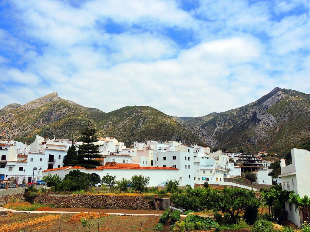 Foto: El Mocaber - Istán (Málaga), España
