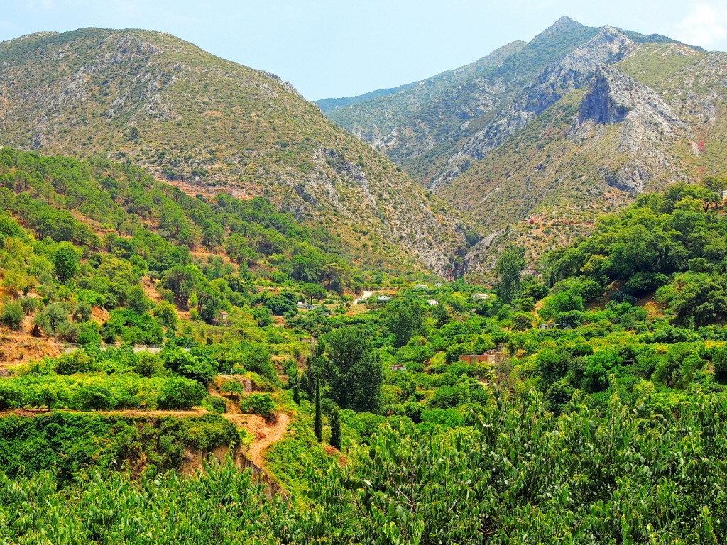 Foto: Cañada de Juan Ingles - Istán (Málaga), España
