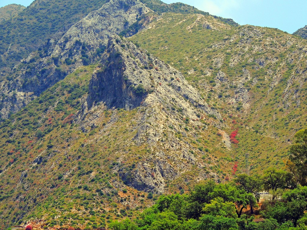 Foto: El Picacho - Istán (Málaga), España