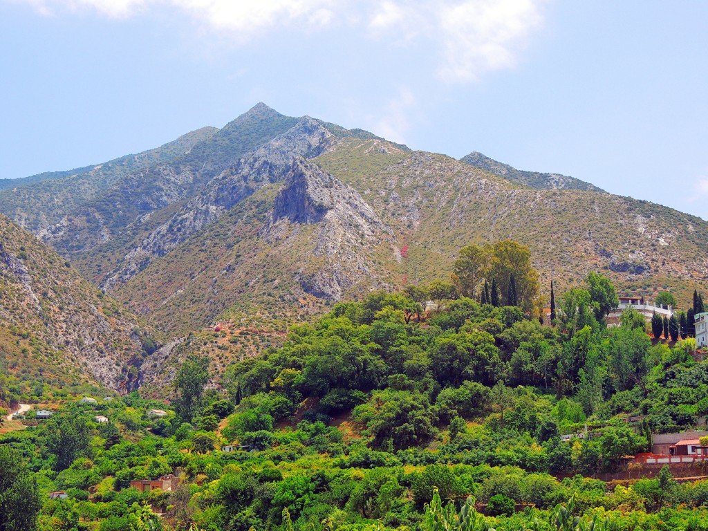 Foto de Sierra Blanca en Istán, Málaga