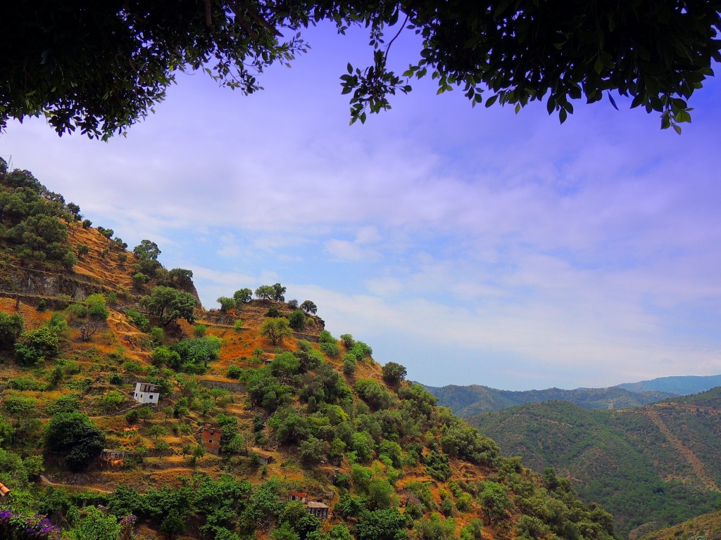 Foto de Istán (Málaga), España