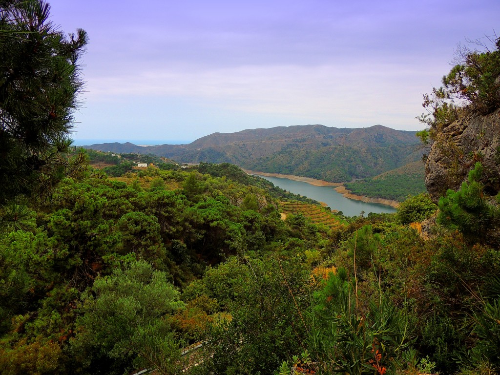 Foto de Istán (Málaga), España