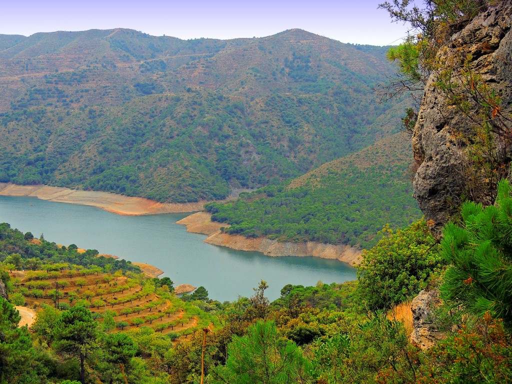 Foto: Embalse de la  Concepción - Istán (Málaga), España