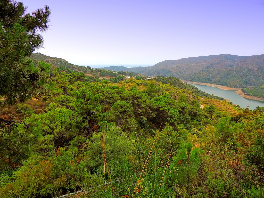 Foto de Istán (Málaga), España